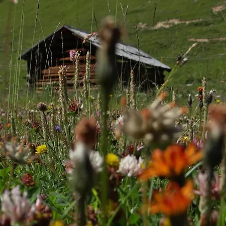 Hotel Silvretta