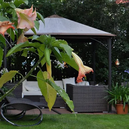 Silvretta 3 Sterne Superior 3* Serfaus